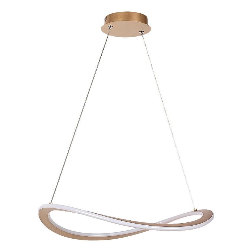 Rabalux - Lampadario LED a sospensione con cavo LED/40W/230V 3000K