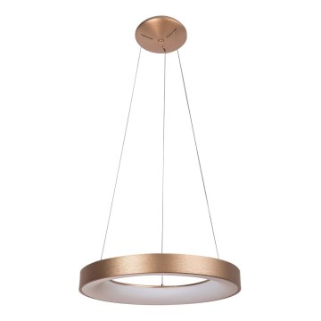 Rabalux - Lampadario LED a sospensione con filo CARMELLA LED/50W/230V