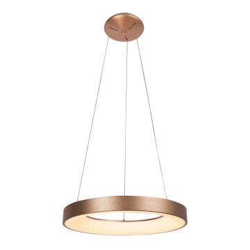Rabalux - Lampadario LED a sospensione con filo CARMELLA LED/80W/230V