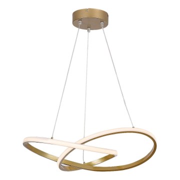 Rabalux - Lampadario LED a sospensione con filo LED/36W/230V 3000K oro