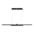 Rabalux - Lampadario LED a sospensione con filo LED/48W/230V 4000K nero