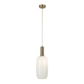 Rabalux - Lampadario su filo 1xE27/60W/230V