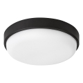 Rabalux - LED Außen-Deckenleuchte LED/14W/230V IP54 schwarz