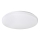 Rabalux - LED Deckenleuchte 1xLED/32W/230V