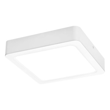 Rabalux - LED-Deckenleuchte LED/15W/230V 4000K 16x16 cm weiß