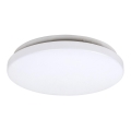 Rabalux - LED Deckenleuchte LED/20W/230V