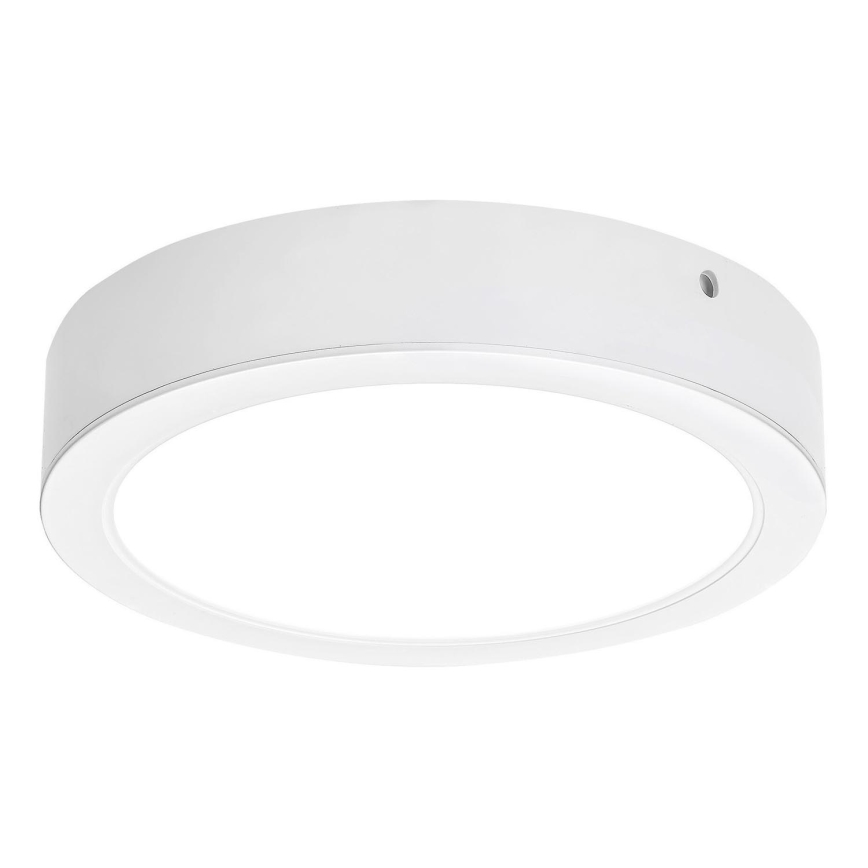 Rabalux - LED-Deckenleuchte LED/24W/230V 4000K d 22 cm weiß