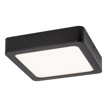 Rabalux - LED-Deckenleuchte LED/7W/230V 4000K 12x12 cm schwarz