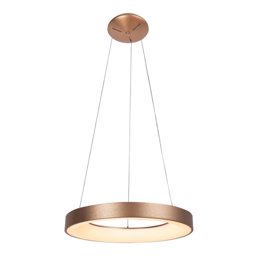 Rabalux - LED Hängeleuchte CARMELLA LED/80W/230V