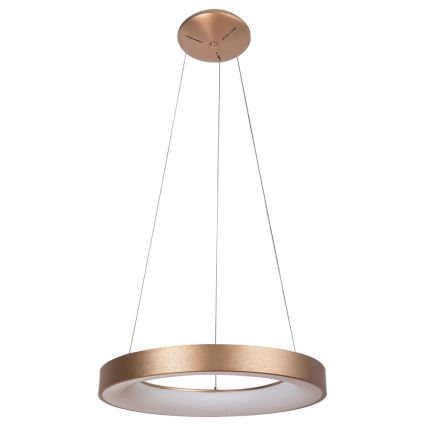 Rabalux - LED Hängeleuchte CARMELLA LED/80W/230V