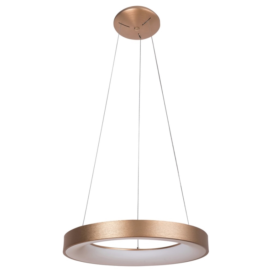 Rabalux - LED Hängeleuchte CARMELLA LED/80W/230V