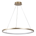 Rabalux - Lustre LED suspendu sur câble LED/55W/230V 3000K