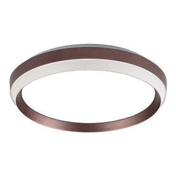 Rabalux - Pièce détachée pour plafonnier FONTANA