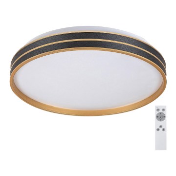 Rabalux - Plafoniera da soffitto dimmerabile LED/24W/230V 3000-6500K ø 39 cm + telecomando