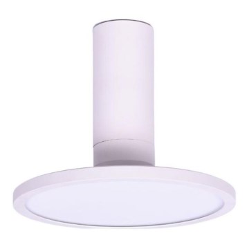 Rabalux - Plafoniera LED 20W/230V, 3000K (bianco caldo), Ø 20 cm