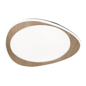 Rabalux - Plafoniera LED/24W/230V ø 45 cm