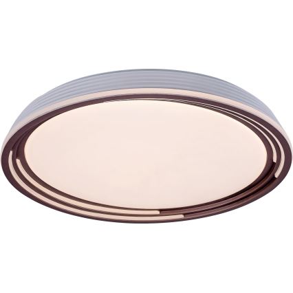 Rabalux - Plafoniera LED dimmerabile LED/36W/230V Ø 51,5 cm