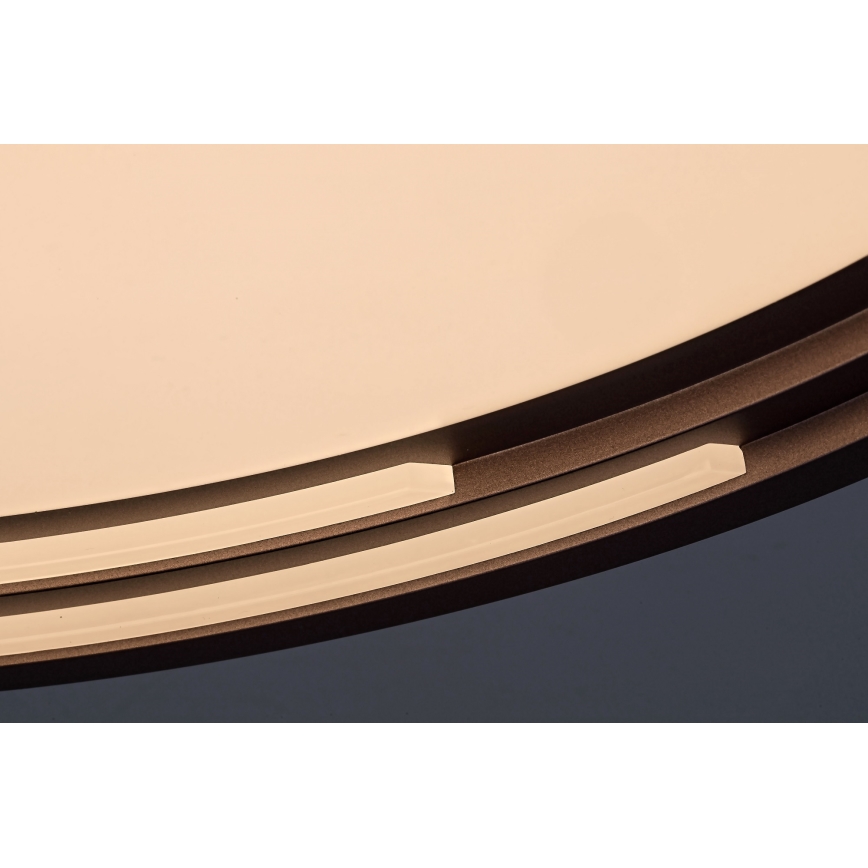 Rabalux - Plafoniera LED dimmerabile LED/36W/230V Ø 51,5 cm