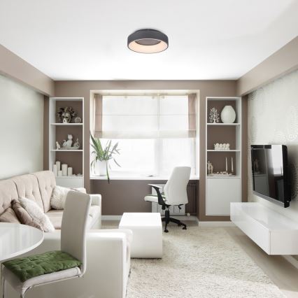 Rabalux - Plafoniera LED dimmerabile LED/24W/230V arrotondato 3000-6000K + telecomando