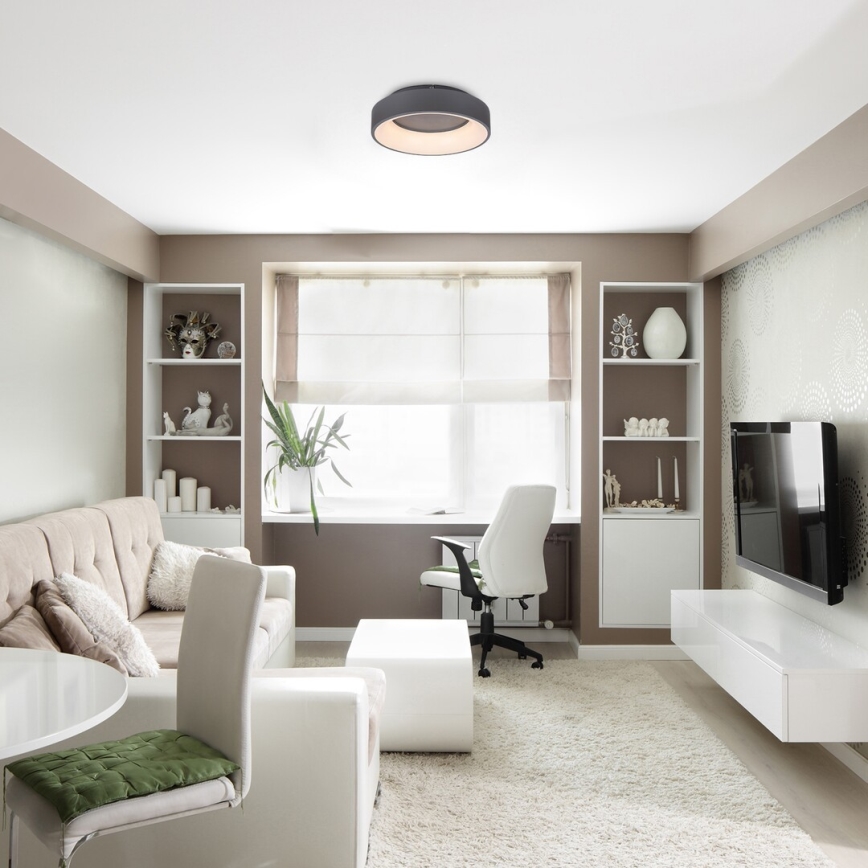 Rabalux - Plafoniera LED dimmerabile LED/24W/230V arrotondato 3000-6000K + telecomando