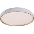 Rabalux - Plafoniera LED dimmerabile LED/34W/230V 3000-6500K Ø 38 cm + telecomando