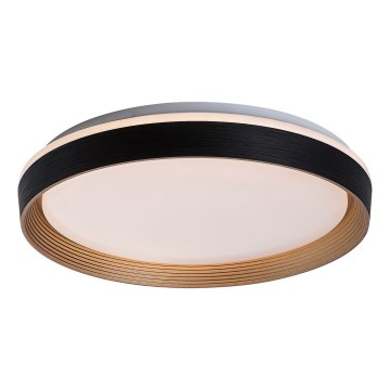 Rabalux - Plafoniera LED dimmerabile LED/48W/230V 3000-6500K + telecomando