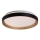 Rabalux - Plafoniera LED dimmerabile LED/48W/230V 3000-6500K + telecomando