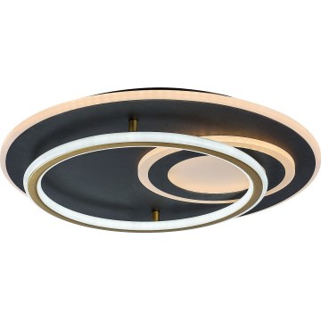 Rabalux - Plafoniera LED dimmerabile LED/60W/230V 3000–6000K Ø 50 cm + telecomando
