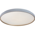 Rabalux - Plafoniera LED dimmerabile LED/80W/230V 3000-6500K Ø 77 cm + telecomando