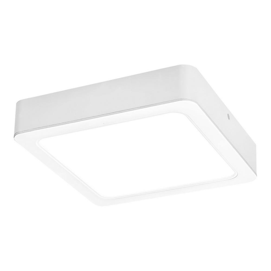 Rabalux - Plafoniera LED LED/18W/230V 17 cm