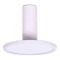 Rabalux - Plafoniera LED LED/20W/230V 3000K bianco