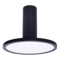 Rabalux - Plafoniera LED LED/20W/230V 3000K nero