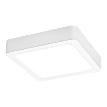 Rabalux - Plafoniera LED LED/24W/230V 22x22 cm
