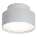 Rabalux - Plafoniera LED LED/24W/230V 3000K bianco