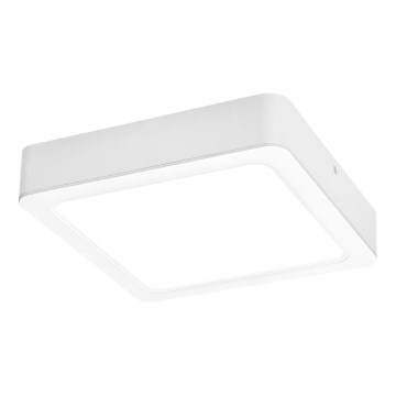 Rabalux - Plafoniera LED LED/7W/230V 4000K 12x12 cm bianco
