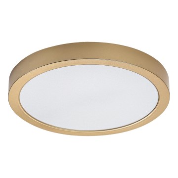 Rabalux - Plafoniera LED per bagno LED/30W/230V Ø 30 cm IP44 dorata
