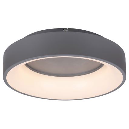 Rabalux - Plafonnier à intensité variable LED/24W/230V arrondi 3000-6000K + télécommande
