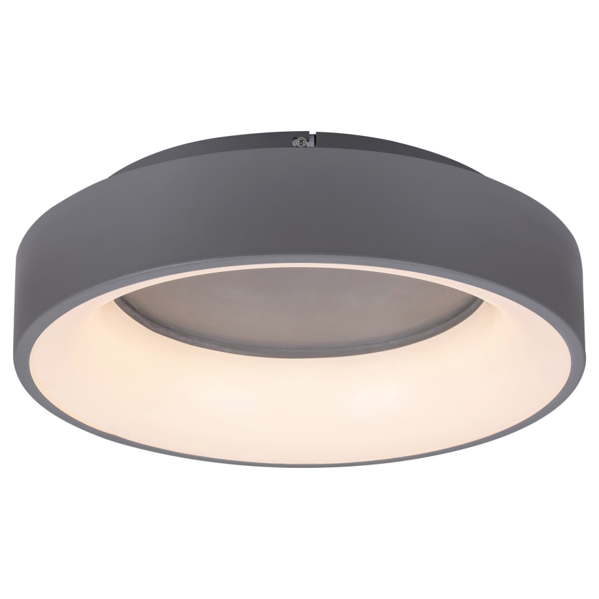 Rabalux - Plafonnier à intensité variable LED/24W/230V arrondi 3000-6000K + télécommande