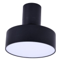 Rabalux - Plafonnier LED/16W/230V 3000K noir