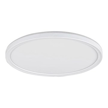 Rabalux - Plafonnier LED 18 W/230 V Ø 29,3 cm