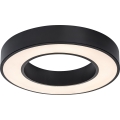 Rabalux - Plafonnier LED/24W/230V 3000/4000/6500K Ø 40 cm noir
