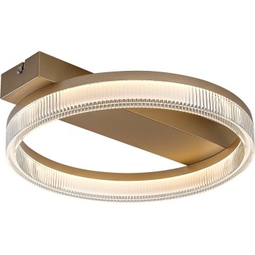 Rabalux - Plafonnier LED dimmable LED/18W/230V 3000-6500K 37x33 cm + télécommande