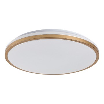 Rabalux - Plafonnier LED pour salle de bains LED/18W/230V IP44 Ø 34 cm