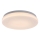 Rabalux - Plafonnier salle de bain LED/12W/230V 3000/4000/6000K IP44