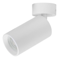 Rabalux - Spot 1xGU10/7W/230V blanc