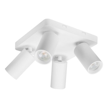 Rabalux - Spotleuchte 4x GU10/7W/230V weiß