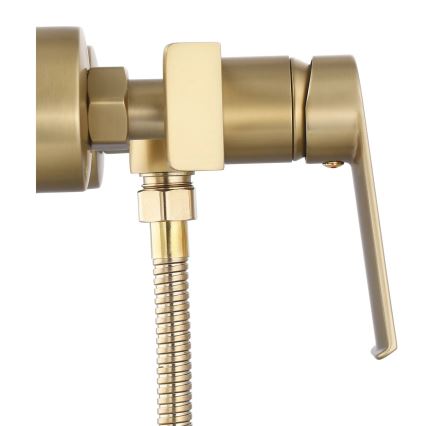 REA-B6403 - Set doccia completo con miscelatore HASS, finitura oro spazzolato