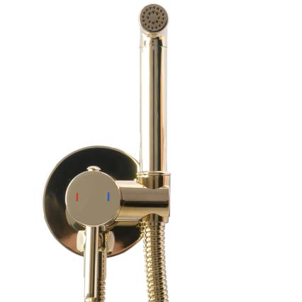 REA-B8979 - Miscelatore per bidet con doccetta per installazione ad incasso LUNGO oro