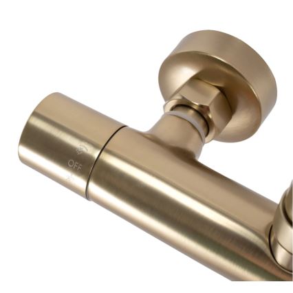 REA-P2323 - Duschset mit thermostatischer Armatur PAROT, gebürstetes Gold