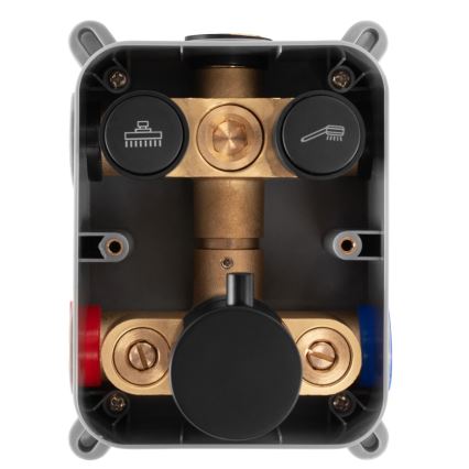 REA-P8551 - Ensemble de douche avec mitigeur thermostatique encastré LUNGO, finition or brossé